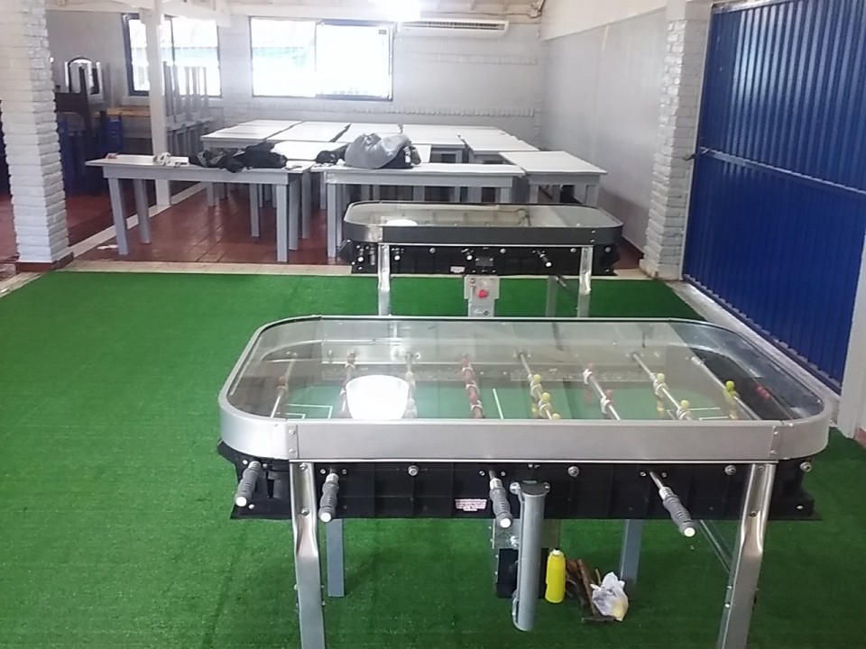 Césped Damoy 10 $ 6900