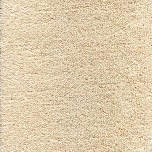 DAMOY NYLON PLUS