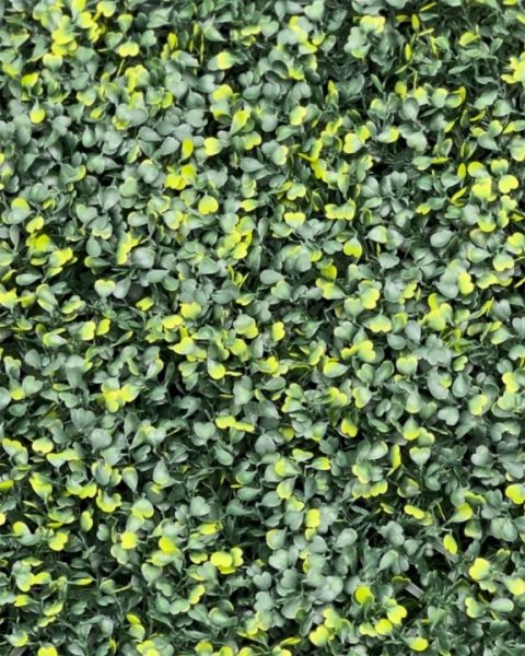 $ 79000 X M2 IVA INCLUIDO           MANGLAR  📏 Medida: 50 x 50 cm ☀️ Apto UV: Sí 🏡 Uso: Interior y exterior  💚 Descripción: Verde oscuro con acentos amarillos. Panel delicado y sofisticado, perfecto para dar un toque sutil de color a cualquier espacio.