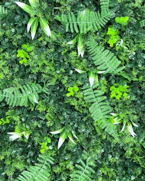 $ 115000 X M2  ELVA UV  📏 Medida: 50 x 50 cm ☀️ Apto UV: Sí 🏡 Uso: Interior y exterior  💚 Descripción: Vegetación densa en una sola tonalidad. Opción natural y equilibrada, ideal para quienes buscan un estilo simple y fresco.