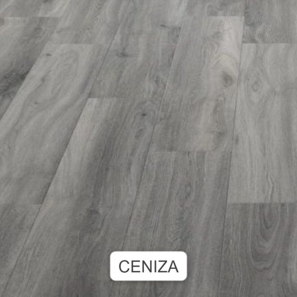 CENIZA 